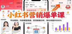 小红书营销爆单课：平台规则、内容模型搭建、投流数据分析，转化率提升500%-网创资源