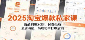 2025淘宝爆款私家课：新品到爆SOP，付费投放，全店动销，高成功率打爆店铺-网创资源