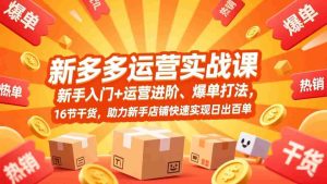 （17342期）拼多多运营实战课，新手入门+运营进阶、爆单打法，16节干货，助力新手店铺快速实现日出百单-网创资源