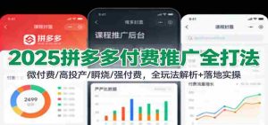 2025拼多多付费推广全打法：微付费/高投产/瞬烧/强付费，全玩法解析+落地实操-网创资源