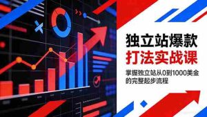 （17322期）独立站爆款打法实战课，掌握独立站从0到1000美金的完整起步流程-网创资源