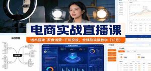 电商实战直播课：话术框架+罗盘运营+千川投放，全链路实操教学（12月）-网创资源