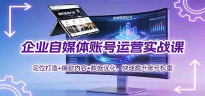 企业自媒体账号运营实战课：定位打造+ 爆款内容+数据优化，快速提升账号权重-网创资源