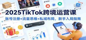 2025TikTok跨境运营课：账号注册+流量思维+私域布局，新手入局指南-网创资源