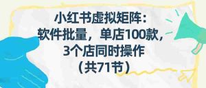 （17271期）小红书虚拟矩阵：软件批量发笔记，单店100款，3个店同时操作（共71节）-网创资源