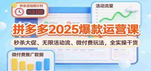 拼多多2025爆款运营课：秒杀大促、无限活动流、微付费玩法，全实操干货-网创资源