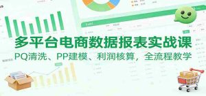 多平台电商数据报表实战课：PQ清洗、PP建模、 利润核算，全流程教学-网创资源