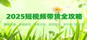 2025短视频带货全攻略：爆款文案，快速起号，种草计划，星图变现，新手零门槛上手-网创资源