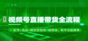 视频号直播带货全流程：起号+选品+微信豆投放+破层级，新手也能爆单-网创资源
