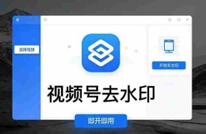 视频号去水印软件，电脑软件，即开即用-网创资源