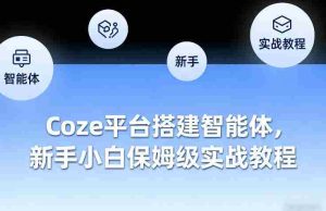 Coze平台搭建智能体，新手小白保姆级实战教程-网创资源