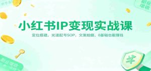 小红书IP变现实战课：定位搭建，光速起号SOP，文案拍摄，0基础也能赚钱-网创资源