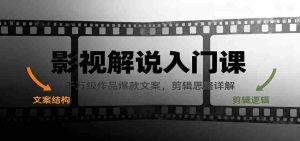 影视解说入门课，千万级作品爆款文案，剪辑思路详解-网创资源