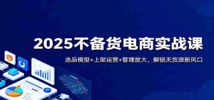 2025不备货电商实战课：选品模型+上架运营+管理放大，解锁无货源新风口-网创资源