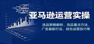亚马逊运营实操，选品策略解析，选品重点方法、广告最新打法、综合运营技巧等-网创资源