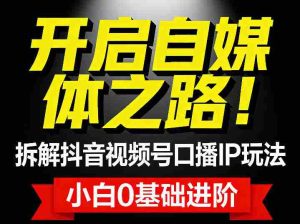 开启自媒体之路！拆解抖音视频号口播IP玩法，小白0基础进阶-网创资源