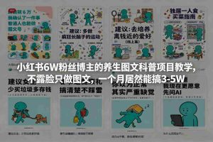小红书6W粉丝博主的养生图文科普项目教学，不露脸只做图文，一个月居然能搞3-5W-网创资源