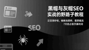 （17125期）黑帽与灰帽SEO实战的野路子教程：泛目录秒收，蜘蛛池搭桥，霸屏截流，7天抢占首页暴利词-网创资源