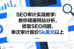 SEO审计实战教学：教你精通网站分析，修复SEO问题，单次审计报价5k美元以上-网创资源