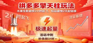 拼多多擎天柱玩法，水果生鲜最快2小时起飞，标品最慢2天起链接-网创资源