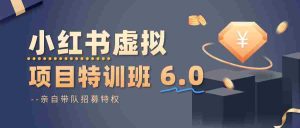 小红书虚拟项目特训班6.0 ，养号/选品/自动发货/爆款笔记（含40节视频课）-网创资源