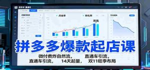 拼多多爆款起店课：微付费炸自然流，直通车引流，14天起量，双11旺季布局-网创资源