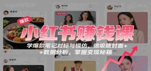 小红书赚钱课：学爆款笔记对标与模仿，做吸睛封面 + 数据分析，掌握变现秘籍-网创资源
