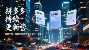 （16987期）拼多多持续更新营，最新玩法、诊断案例、前沿技术，紧跟平台，保障打法始终有效盈利（更新）-网创资源