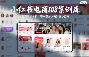 小红书电商108案例库，百W利润分析，带一部分人先冲进小红书【文档】-网创资源