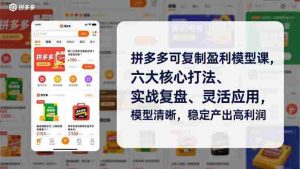 （16952期）拼多多可复制盈利模型课，六大核心打法、实战复盘、灵活应用，模型清晰，稳定产出高利润-网创资源