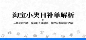 淘宝小类目补单解析：从基础到方式，优势好处及稽查、降权因素等核心内容-网创资源