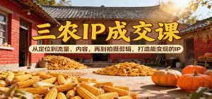 三农IP成交课：从定位到流量、内容，再到拍摄剪辑，打造能变现的IP-网创资源