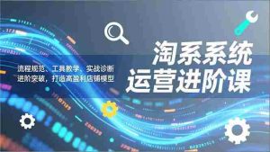 （16927期）淘系系统运营进阶课2.0，流程规范、工具教学、实战诊断，进阶突破，打造高盈利店铺模型-网创资源