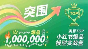 （16922期）小红书爆品模型实战营，从新品突围到成为类目TOP，可复制路径，打造多个营收百万级爆品-网创资源