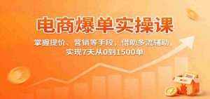 电商爆单实操课：掌握提价、营销等手段，借助多流辅助，实现7天从0到1500单-网创资源