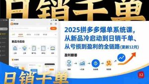 （16894期）2025拼多多爆单系统课，从新品冷启动到日销千单、从亏损到盈利的全链路（更新12月）-网创资源