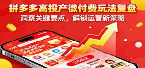 拼多多高投产微付费玩法复盘，洞察关键要点，解锁运营新策略-网创资源