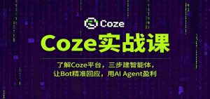 Coze实战课：了解Coze平台，三步建智能体，让Bot精准回应，用AI Agent盈利-网创资源