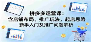 拼多多运营课：含店铺布局、推广玩法，起店思路，新手入门及推广问题解析-网创资源