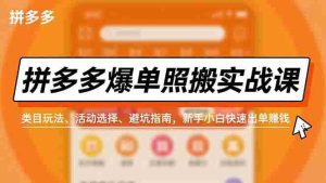 （16838期）拼多多爆单照搬实战课，类目玩法、活动选择、避坑指南，新手小白快速出单赚钱-网创资源