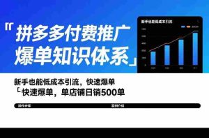 拼多多付费推广爆单知识体系，新手也能低成本引流，快速爆单，单店铺日销500单-网创资源