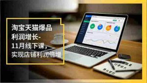 （16824期）淘宝天猫爆品利润增长-11月线下课，免费流量、付费放大、费比管控，实现店铺利润倍增-网创资源