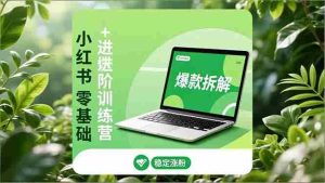 （16801期）小红书零基础+高阶训练营：安全养号、爆款拆解、长效运营，实现稳定涨粉与变现-网创资源