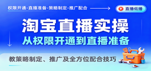 淘宝直播实操，从权限开通到直播准备，教策略制定、推广及全方位配合技巧-网创资源