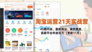 （16701期）淘宝运营21天实战营，45期内容、最新算法、案例复盘，紧跟平台年入百万（更新11月）-网创资源