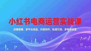 （16695期）小红书电商运营实战课，店铺搭建、多平台选品、内容创作、私域引流、多账号运营等玩法-网创资源