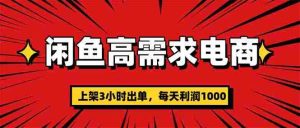（16672期）闲鱼高利润电商，当天上架当天出单，一单利润300-网创资源