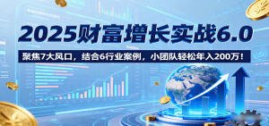 2025财富增长实战6.0，聚焦7大风口，结合6行业案例，小团队轻松年入200万！-网创资源