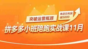 （16654期）拼多多小班陪跑实战课11月，强付费矩阵、原价活动、暗券引流，突破运营瓶颈，单店日利润破5000-网创资源