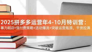 （16642期）2025拼多多运营年4-10月特训营：暴力起店+强付费策略+活动爆流+突破运营瓶颈，干货拉满-网创资源
